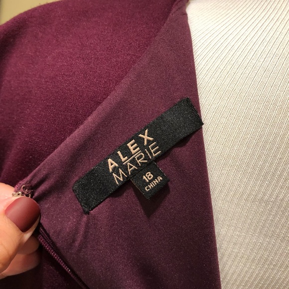 Elegant Alex Marie Dress - Picture 6 of 7